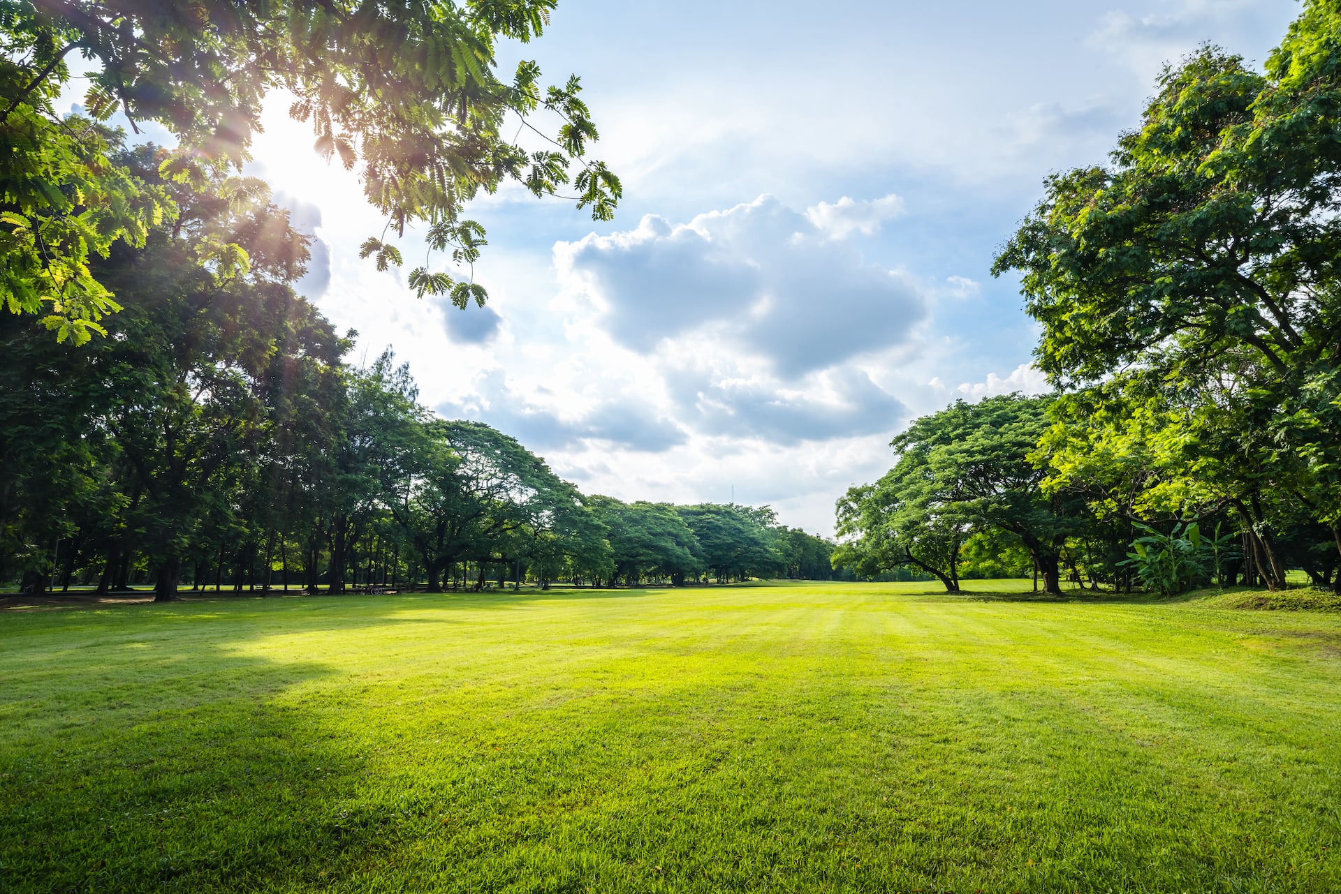 manutenzioni giardini pubblici e scuole