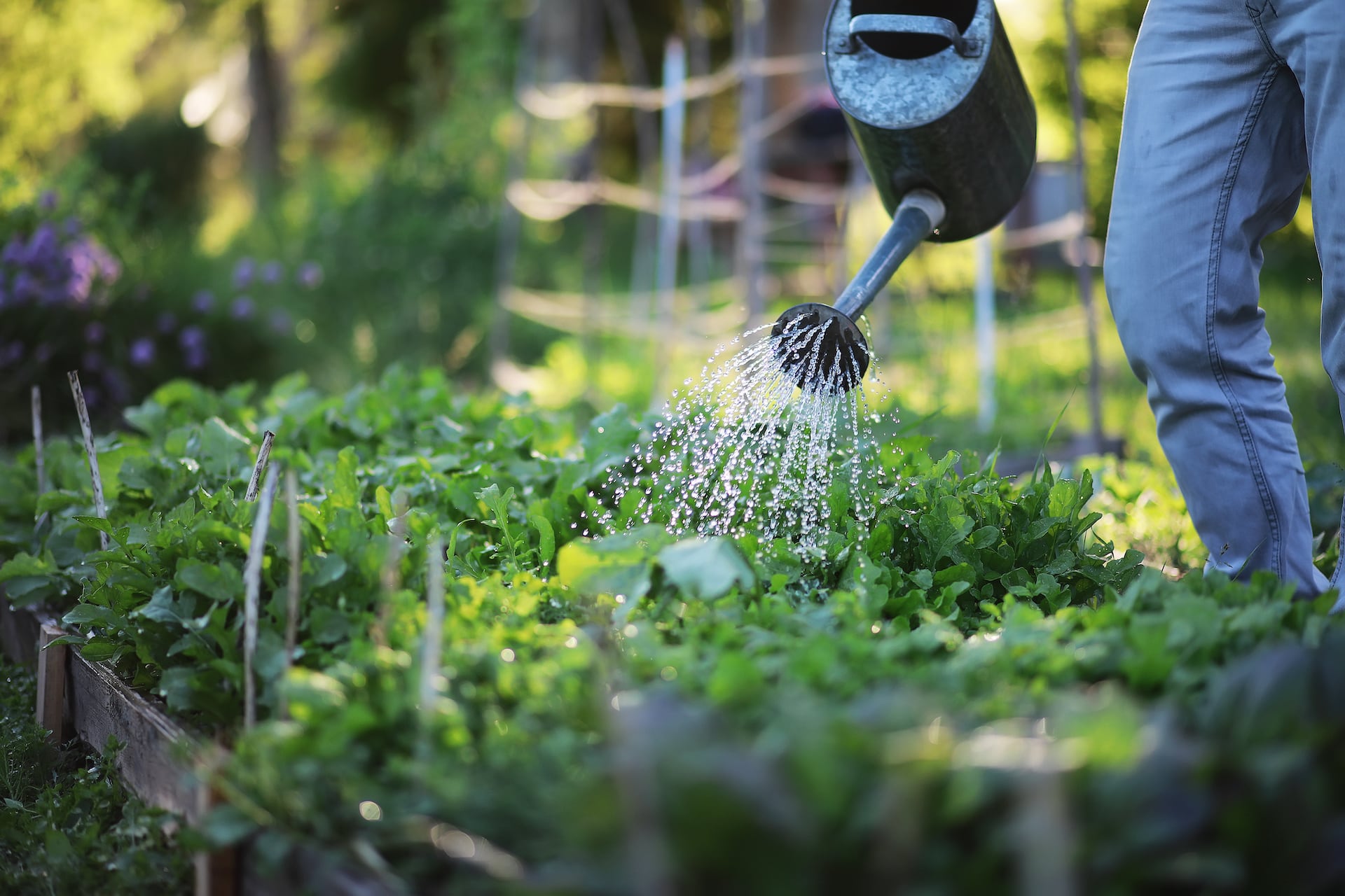 azienda giardinaggio e giardinieri